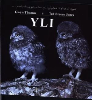 Image of Yli by Gwyn Thomas Paperback