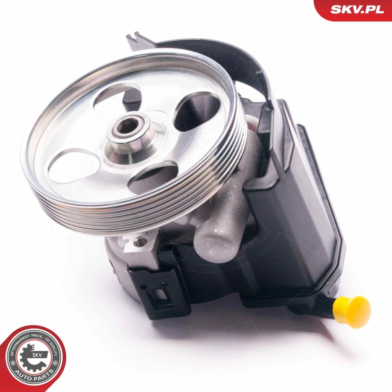 Image of ESEN SKV Power steering pump ESEN SKV 10SKV231