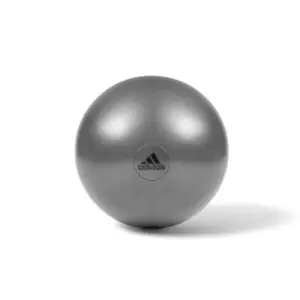 Image of Adidas 65cm Gym Ball