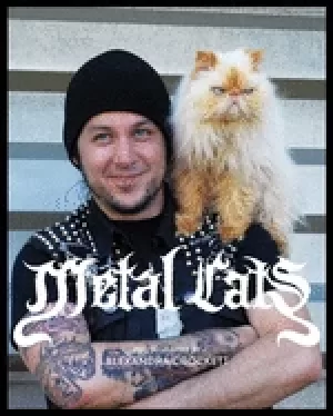 Image of metal cats