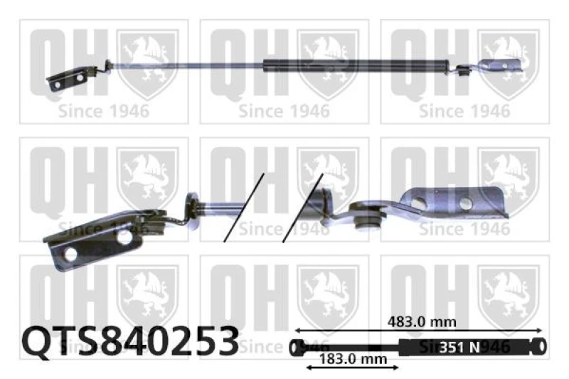 Image of QUINTON HAZELL Tailgate strut QUINTON HAZELL QTS840253