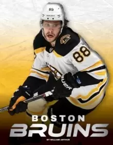 Image of Boston Bruins