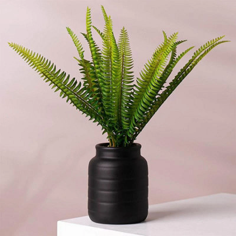 Image of Leaf Black Vase Planter 13 x 13 x 14cm Black