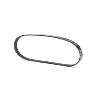 Image of RIDEX V-ribbed belt RENAULT,PEUGEOT,CITROEN 305P0297 5750K3,5750P9,5750Q0 5750W9,5750WA,5750XY,96165811,96273681,117206F905,5750K2,5750P9,5750W8