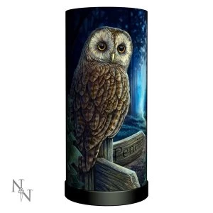 image of Way of the Witch Owl Lamp UK Plug