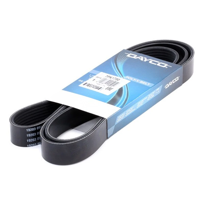 Image of DAYCO 7PK1750 V-ribbed belt V-Ribbed Belts (305)