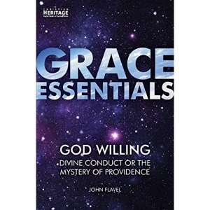 Image of God Willing Divine Conduct or The Mystery of Providence Paperback / softback 2019