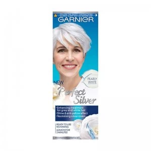 Image of Garnier Perfect Silver Neutralising Cream