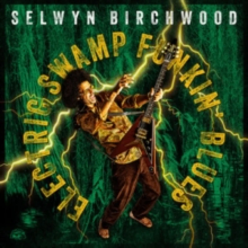 Image of Electric swamp funkin' blues Vinyl