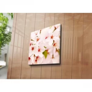Image of 4545C-85 Multicolor Decorative Canvas Painting