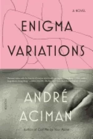 Image of enigma variations a novel