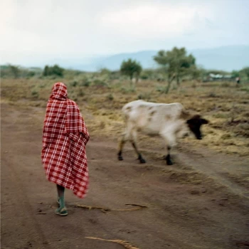 Image of Stalawa - In East Africa Vinyl