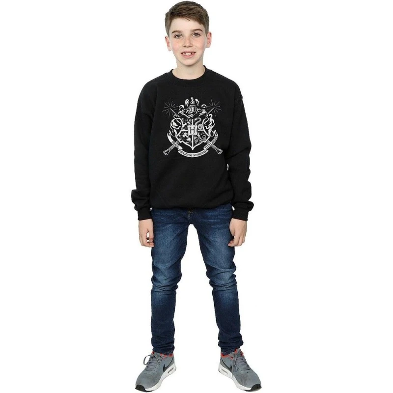 Image of Harry Potter Hogwarts Crest Wands Sweatshirt Black male