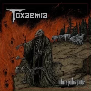 Image of Where Paths Divide by Toxaemia CD Album