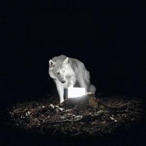 Image of Surveillance by Vanishing Life CD Album