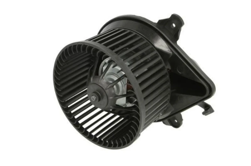Image of THERMOTEC Heater blower motor THERMOTEC DDP009TT
