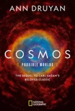 Image of cosmos possible worlds