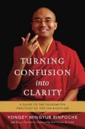 Image of turning confusion into clarity a guide to the foundation practices of tibet