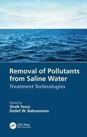 Image of Removal of Pollutants from Saline Water Treatment Technologies