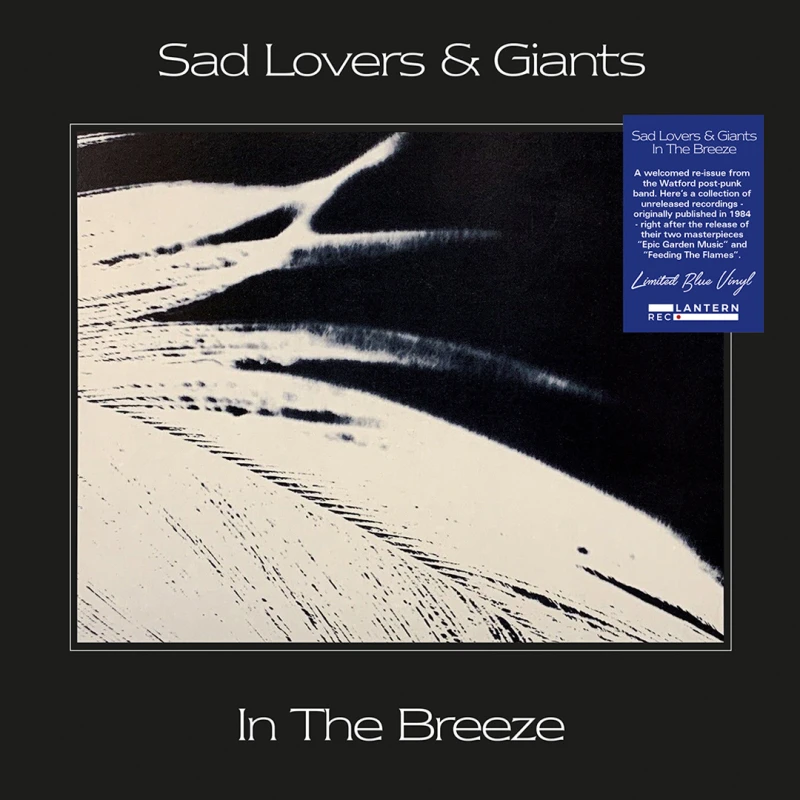 Image of In the breeze Vinyl
