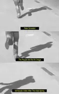 Image of people are not an image vernacular video after the arab spring
