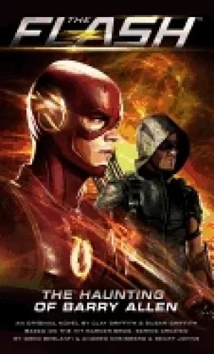 Image of flash the haunting of barry allen