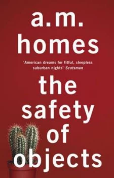 Image of The Safety of Objects by A.M. Homes Book