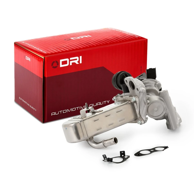 Image of DRI EGR valve DRI 717730163