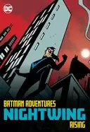 image of batman adventures nightwing rising