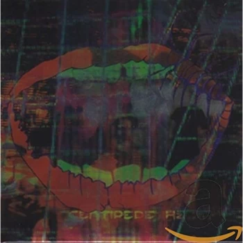 image of Animal Collective - Centipede Hz CD