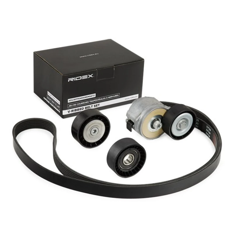 Image of RIDEX 542R0206 V-ribbed belt set V-Ribbed Belt Set (542)