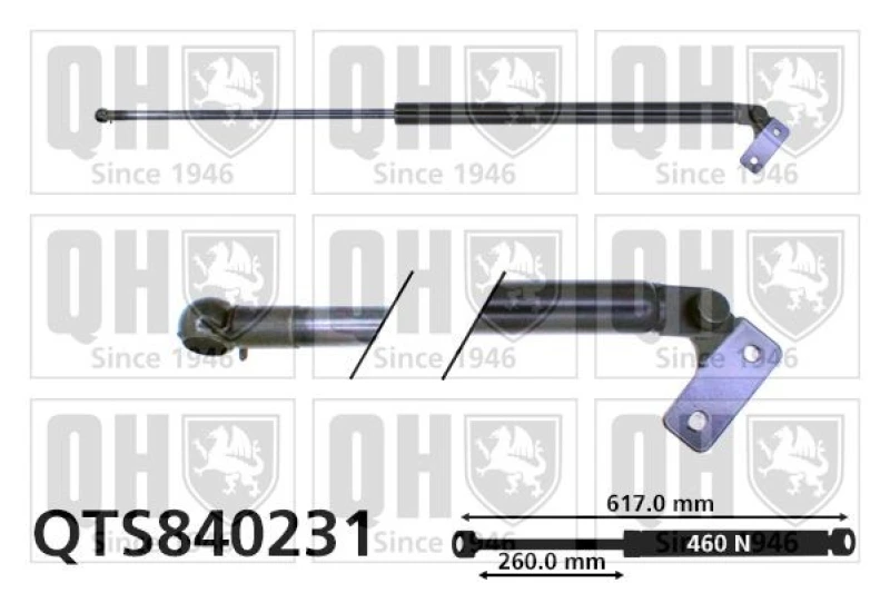 Image of QUINTON HAZELL Tailgate strut QUINTON HAZELL QTS840231