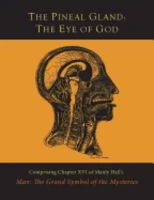 Image of pineal gland the eye of god