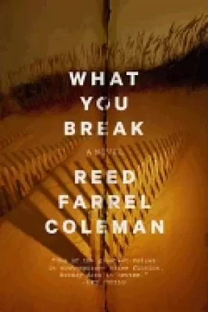 Image of what you break