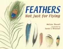 Image of Feathers : Not Just for Flying