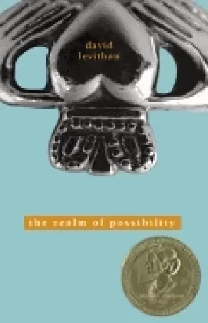 Image of realm of possibility