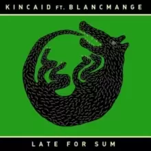 Image of Late for Sum