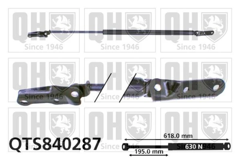 Image of QUINTON HAZELL Tailgate strut QUINTON HAZELL QTS840287