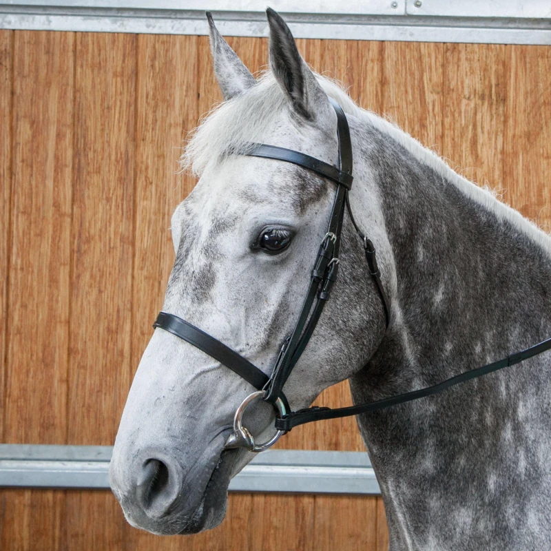 Image of Requisite Snaffle Bridle with Reins Black unisex Cob