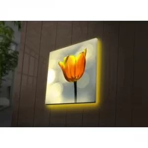 Image of 2828DACT-55 Multicolor Decorative LED Lighted Canvas Painting