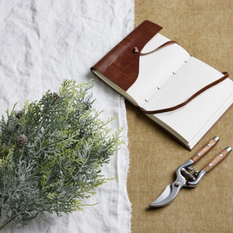Image of Frosted Pine Spray Stem With Pinecones