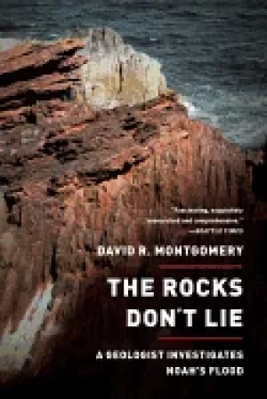 Image of rocks dont lie a geologist investigates noahs flood