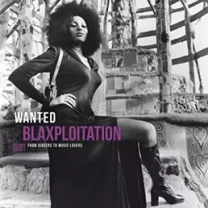 Image of Wanted: Blaxploitation: From Diggers to Music Lovers