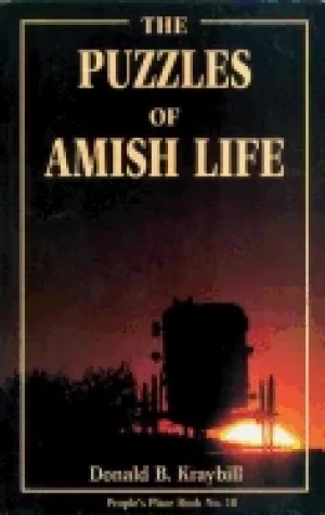 Image of puzzles of amish life