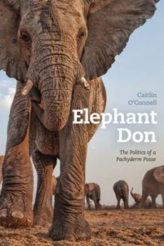 Image of Elephant Don by Caitlin Oconnell Hardback