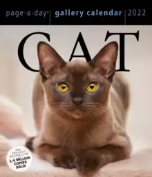 Image of 2022 Cat Gallery