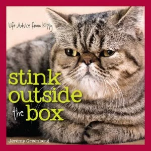 Image of Stink Outside the Box by Jeremy Greenberg Hardback