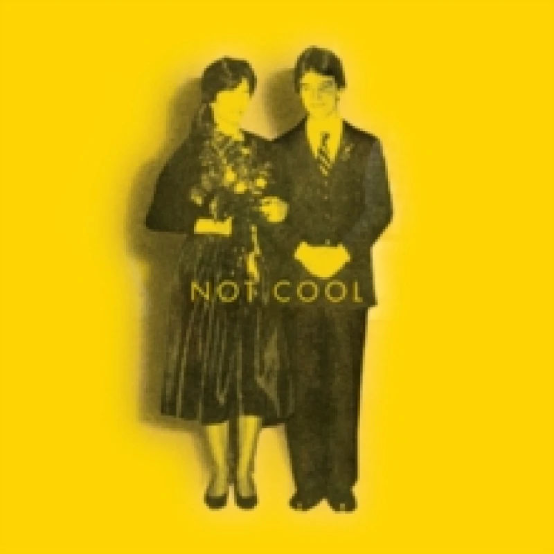 Image of Not cool Vinyl