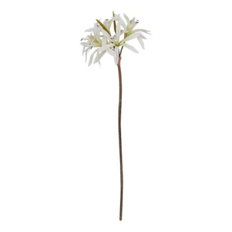 Image of Hill Interiors The Natural Garden Collection Nerine Lily Artificial Flower White (One Size)