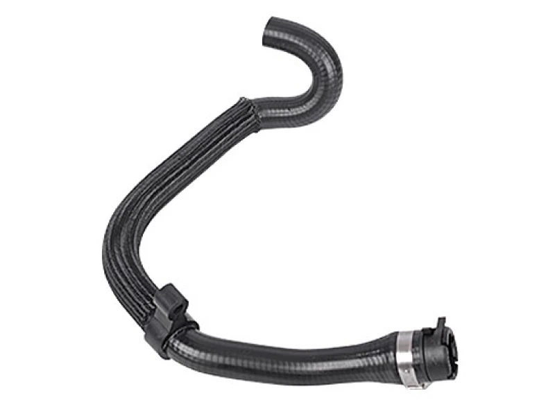Image of Radiator hose METZGER 2420293